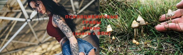 меф Зеленокумск