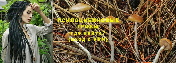 мескалин Зерноград