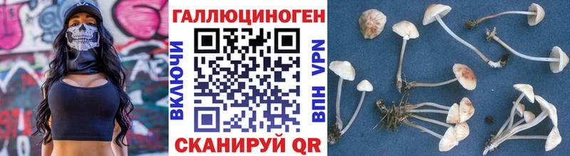 Галлюциногенные грибы Magic Shrooms  Купить закладки  Камбарка 